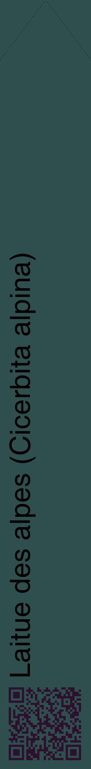 Étiquette de : Cicerbita alpina - format c - style noire58_simplehel avec qrcode et comestibilité