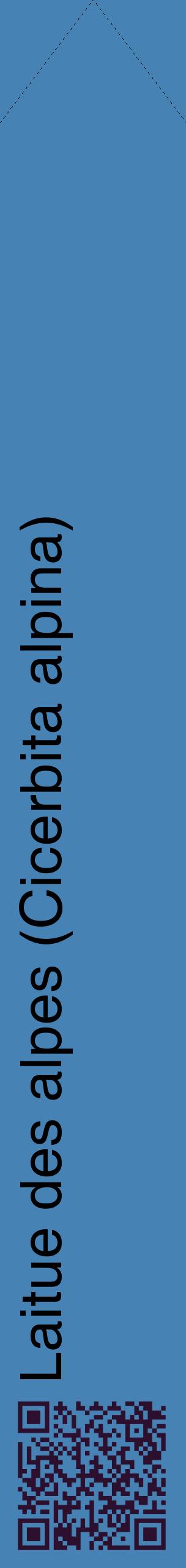 Étiquette de : Cicerbita alpina - format c - style noire5_simplehel avec qrcode et comestibilité