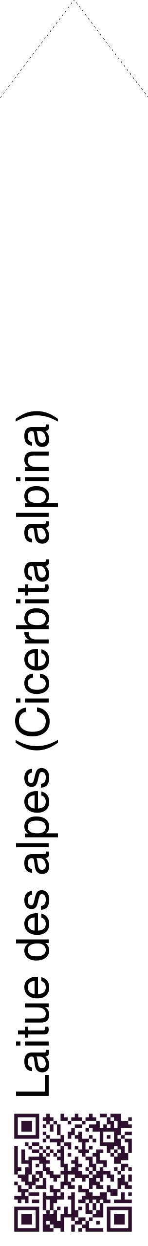Étiquette de : Cicerbita alpina - format c - style noire60_simplehel avec qrcode et comestibilité