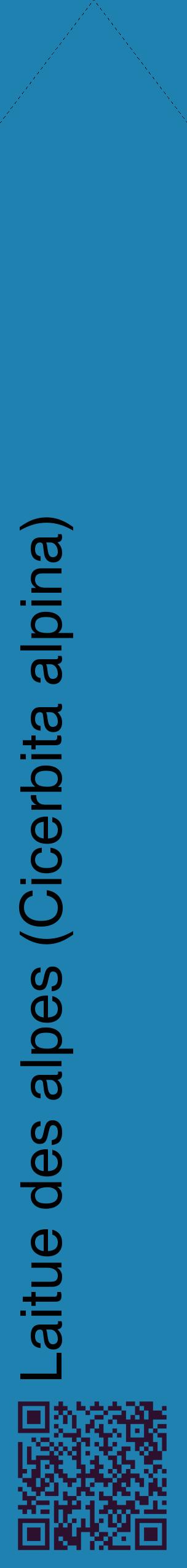 Étiquette de : Cicerbita alpina - format c - style noire6_simplehel avec qrcode et comestibilité