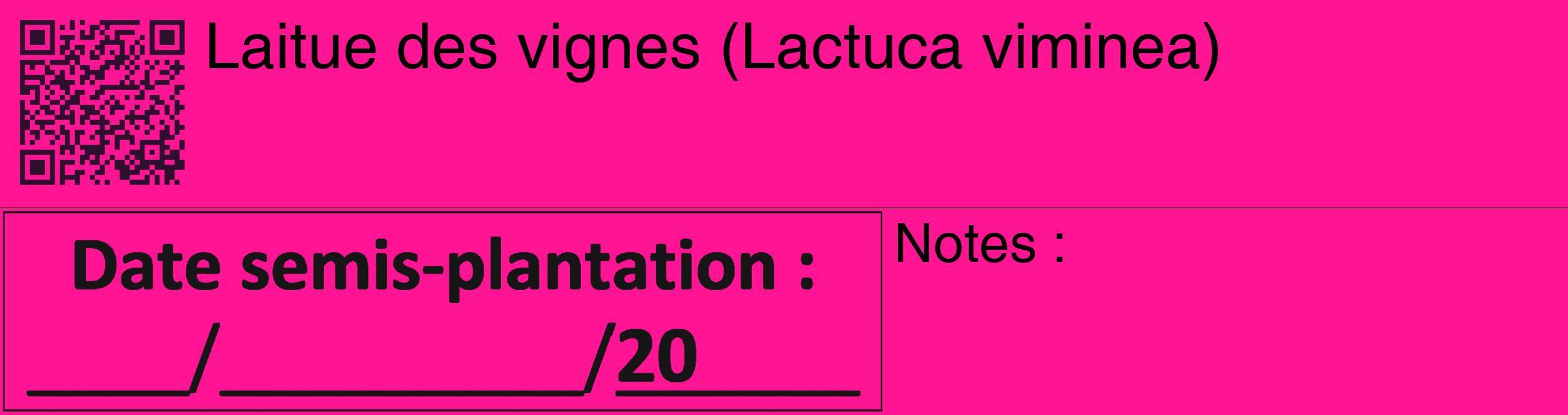 Étiquette de : Lactuca viminea - format c - style noire43_basique_basiquehel avec qrcode et comestibilité