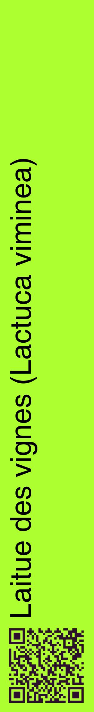 Étiquette de : Lactuca viminea - format c - style noire17_basiquehel avec qrcode et comestibilité