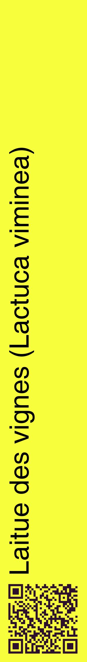 Étiquette de : Lactuca viminea - format c - style noire18_basiquehel avec qrcode et comestibilité
