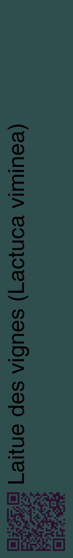 Étiquette de : Lactuca viminea - format c - style noire58_basiquehel avec qrcode et comestibilité