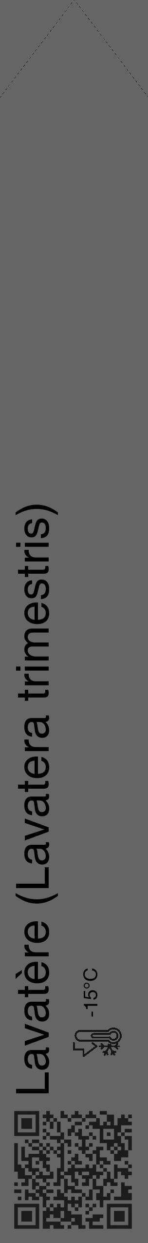 Étiquette de : Lavatera trimestris - format c - style noire32_simple_simplehel avec qrcode et comestibilité - position verticale