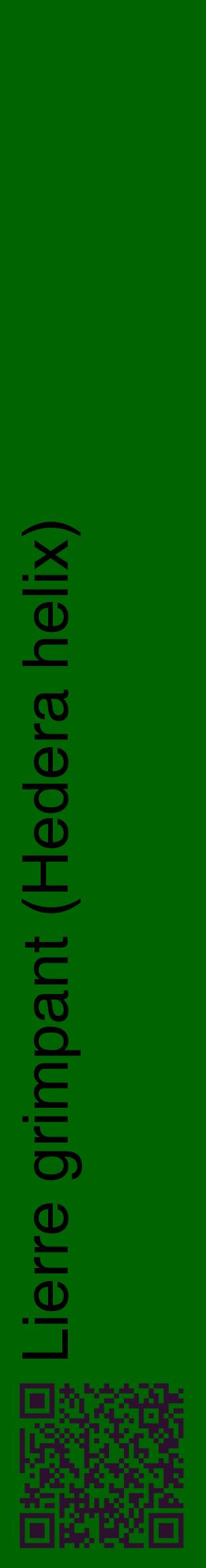 Étiquette de : Hedera helix - format c - style noire8_basiquehel avec qrcode et comestibilité