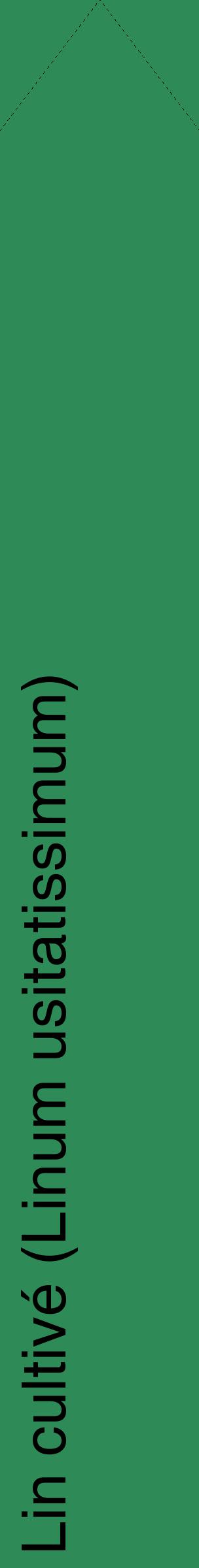 Étiquette de : Linum usitatissimum - format c - style noire11_simplehel avec comestibilité