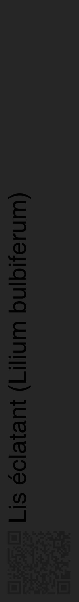 Étiquette de : Lilium bulbiferum - format c - style noire29_basique_basiquehel avec qrcode et comestibilité - position verticale