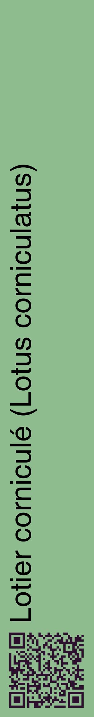 Étiquette de : Lotus corniculatus - format c - style noire13_basiquehel avec qrcode et comestibilité