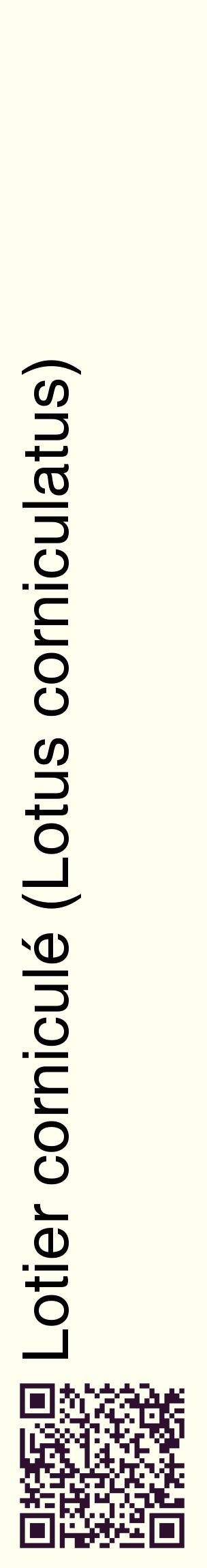 Étiquette de : Lotus corniculatus - format c - style noire19_basiquehel avec qrcode et comestibilité