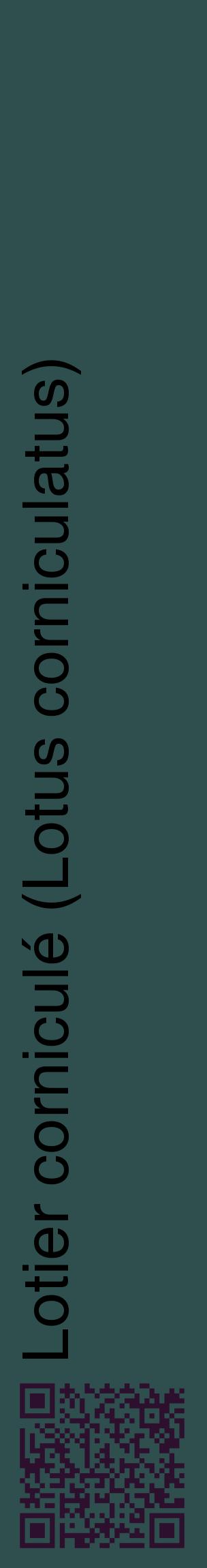 Étiquette de : Lotus corniculatus - format c - style noire58_basiquehel avec qrcode et comestibilité