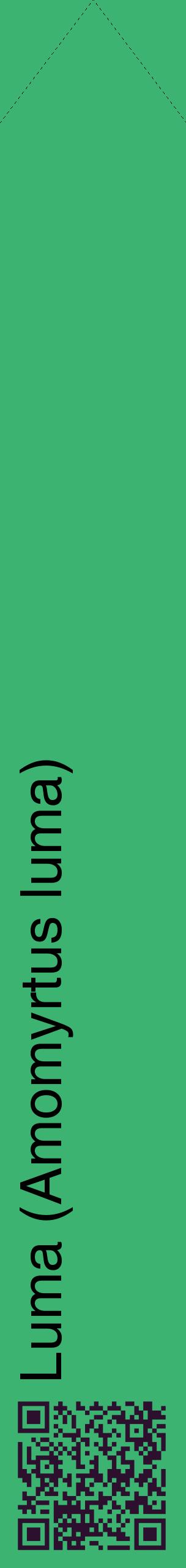 Étiquette de : Amomyrtus luma - format c - style noire12_simplehel avec qrcode et comestibilité