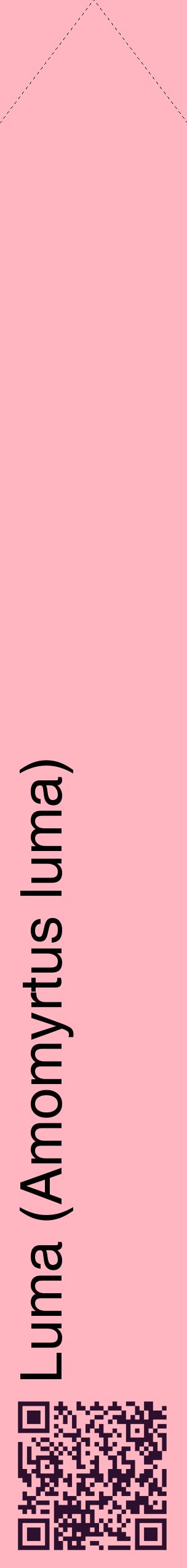 Étiquette de : Amomyrtus luma - format c - style noire41_simplehel avec qrcode et comestibilité