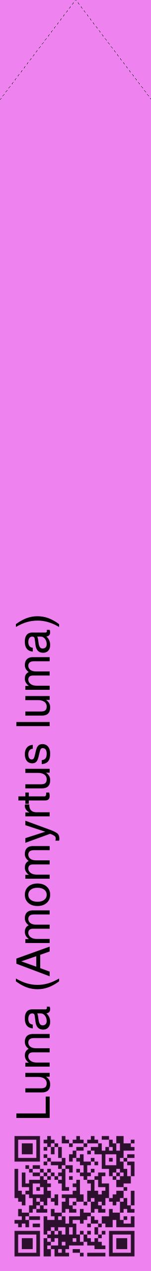 Étiquette de : Amomyrtus luma - format c - style noire53_simplehel avec qrcode et comestibilité