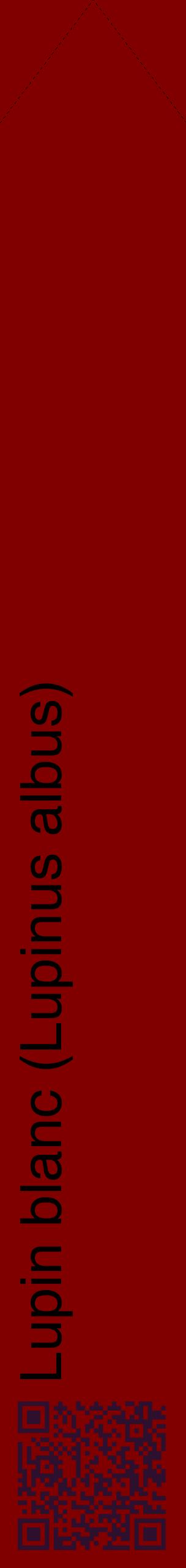 Étiquette de : Lupinus albus - format c - style noire29_simplehel avec qrcode et comestibilité
