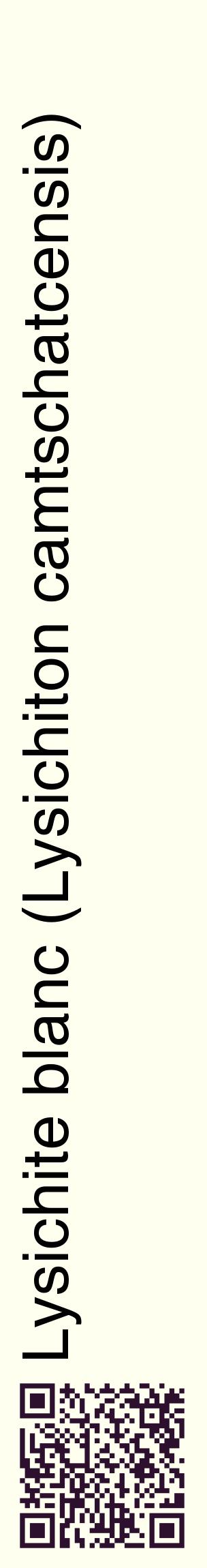 Étiquette de : Lysichiton camtschatcensis - format c - style noire19_basiquehel avec qrcode et comestibilité