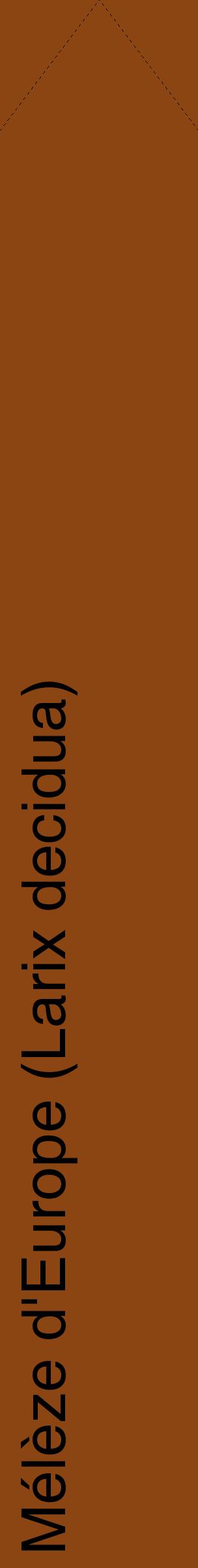 Étiquette de : Larix decidua - format c - style noire30_simplehel avec comestibilité