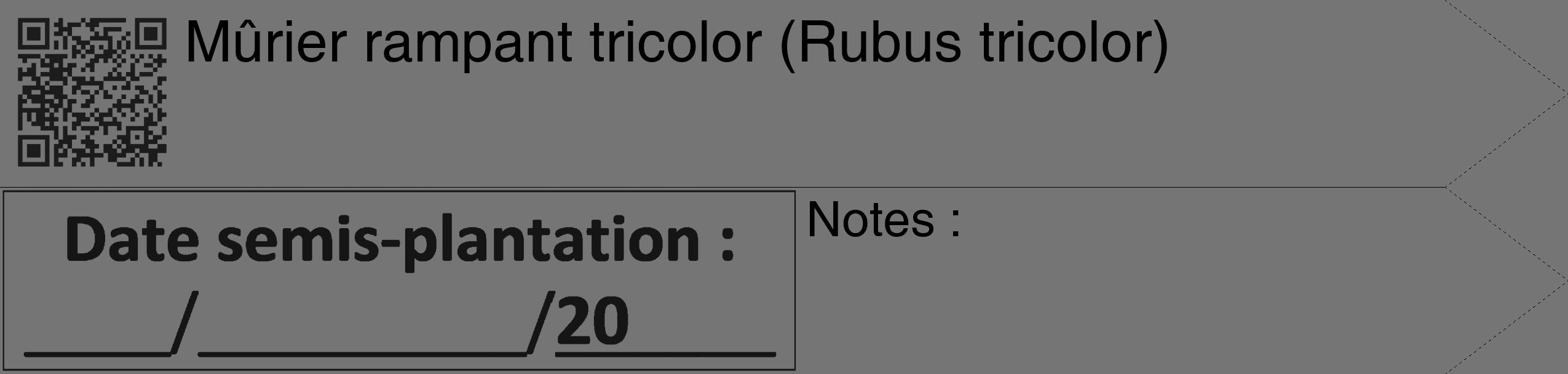 Étiquette de : Rubus tricolor - format c - style noire5_simple_simplehel avec qrcode et comestibilité