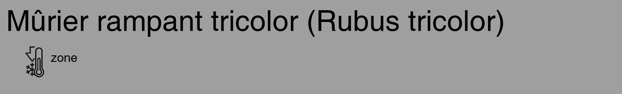 Étiquette de : Rubus tricolor - format c - style noire24_basique_basiquehel avec comestibilité