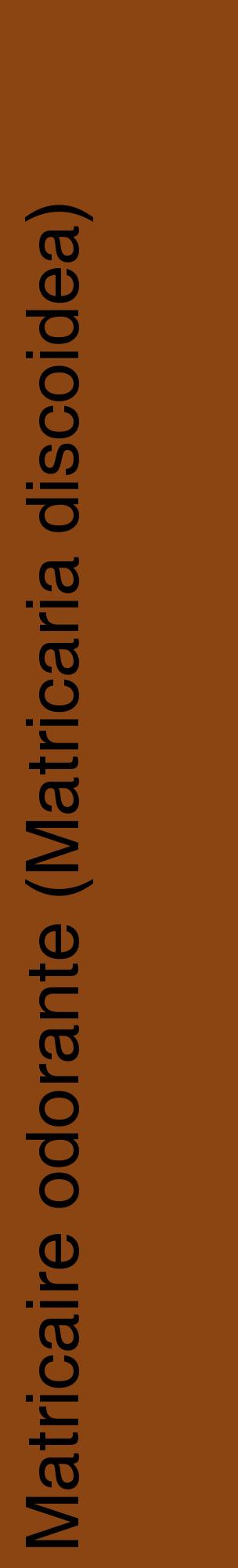 Étiquette de : Matricaria discoidea - format c - style noire30_basiquehel avec comestibilité