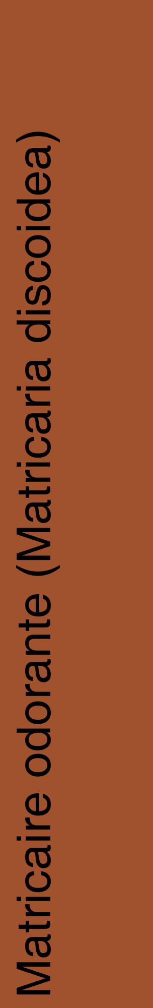 Étiquette de : Matricaria discoidea - format c - style noire32_basiquehel avec comestibilité