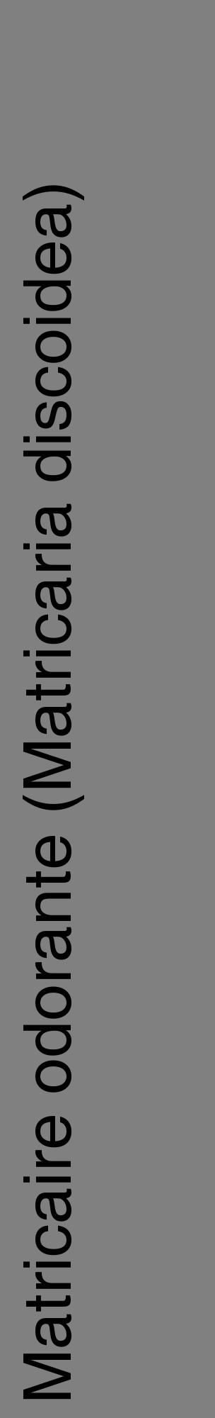 Étiquette de : Matricaria discoidea - format c - style noire57_basiquehel avec comestibilité