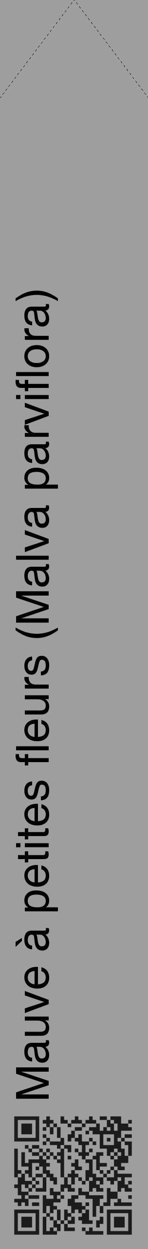 Étiquette de : Malva parviflora - format c - style noire23_simple_simplehel avec qrcode et comestibilité - position verticale