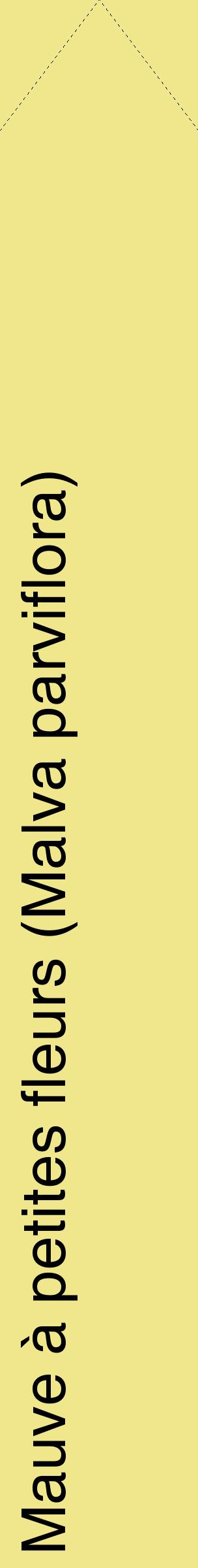 Étiquette de : Malva parviflora - format c - style noire20_simplehel avec comestibilité