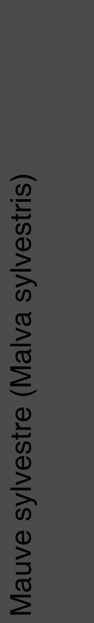 Étiquette de : Malva sylvestris - format c - style noire9_basique_basiquehel avec comestibilité - position verticale