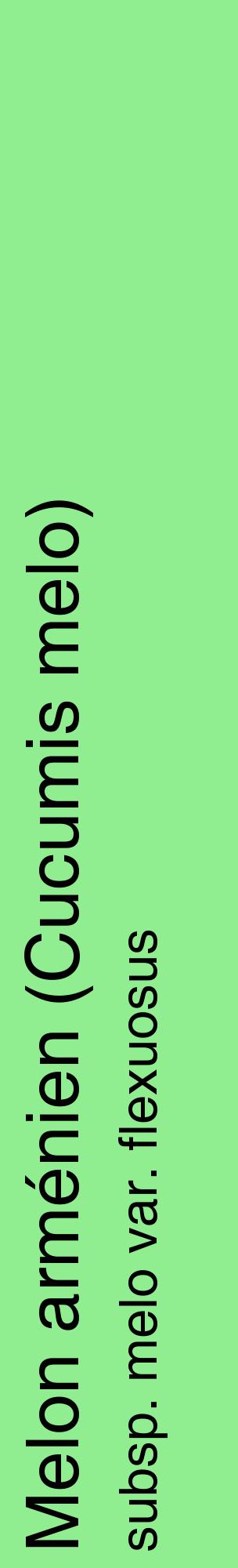 Étiquette de : Cucumis melo subsp. melo var. flexuosus - format c - style noire15_basiquehel avec comestibilité