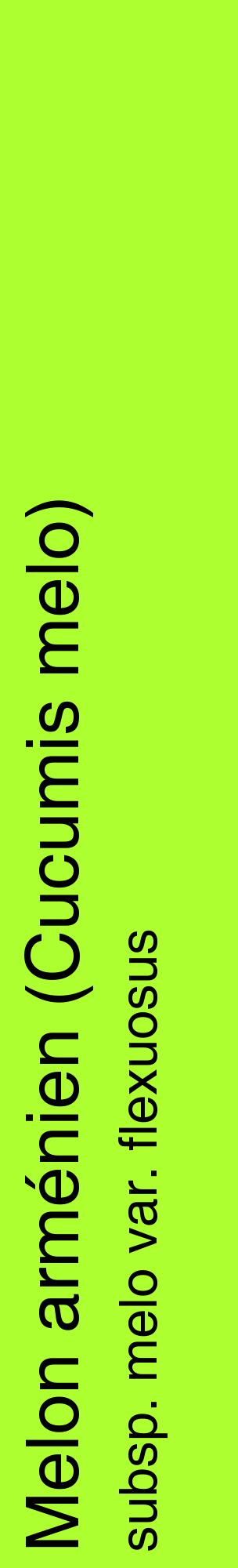 Étiquette de : Cucumis melo subsp. melo var. flexuosus - format c - style noire17_basiquehel avec comestibilité