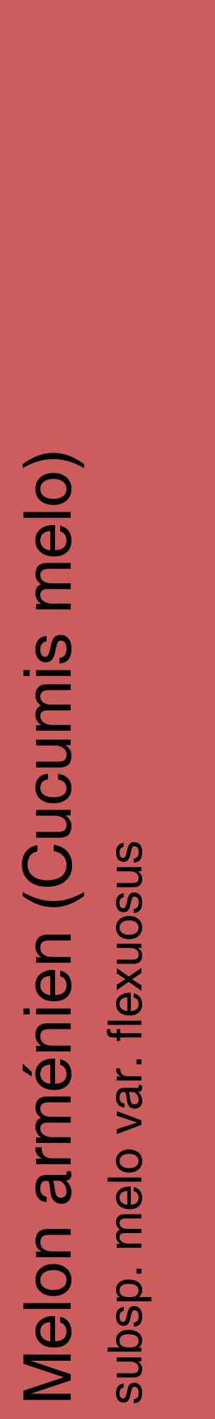 Étiquette de : Cucumis melo subsp. melo var. flexuosus - format c - style noire35_basiquehel avec comestibilité