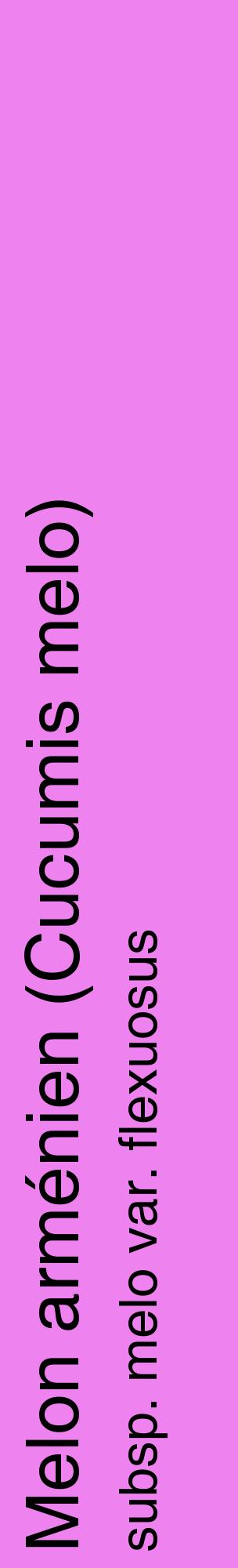 Étiquette de : Cucumis melo subsp. melo var. flexuosus - format c - style noire53_basiquehel avec comestibilité