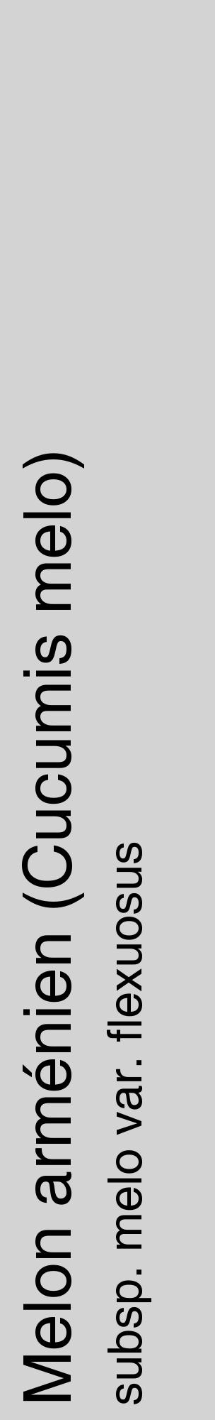 Étiquette de : Cucumis melo subsp. melo var. flexuosus - format c - style noire56_basiquehel avec comestibilité