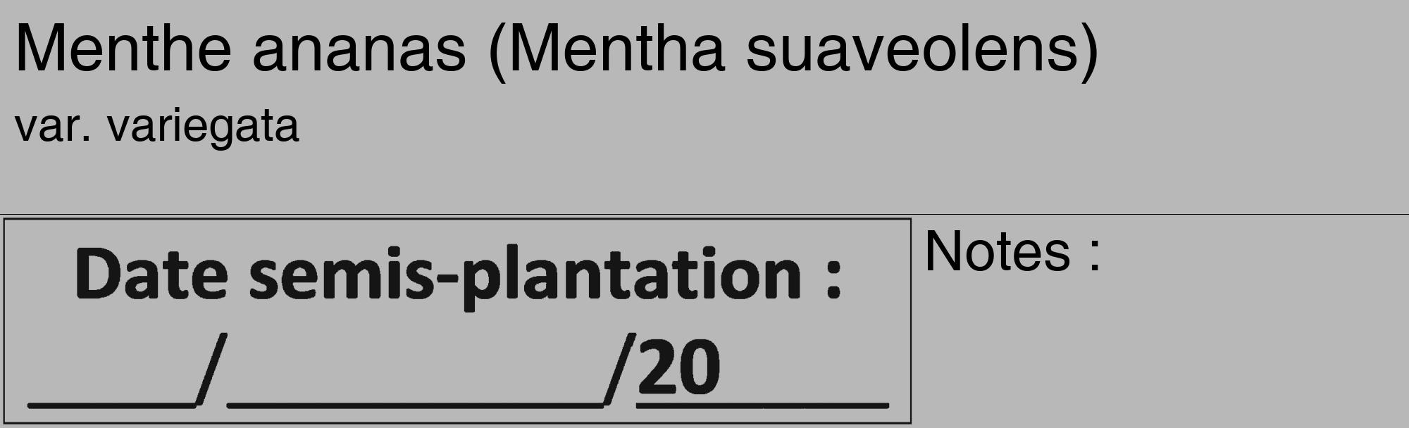 Étiquette de : Mentha suaveolens var. variegata - format c - style noire39_basique_basiquehel avec comestibilité