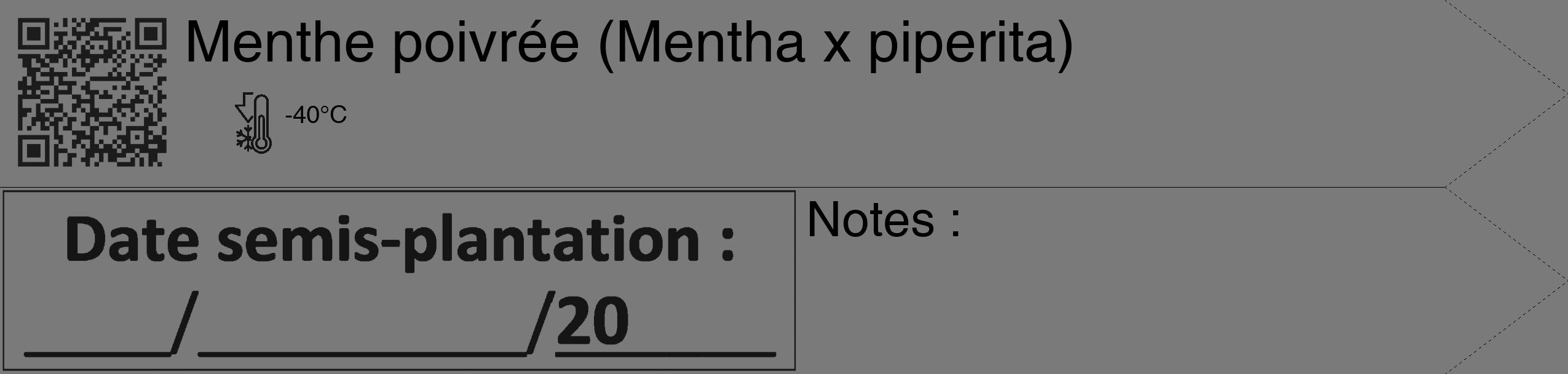 Étiquette de : Mentha x piperita - format c - style noire3_simple_simplehel avec qrcode et comestibilité