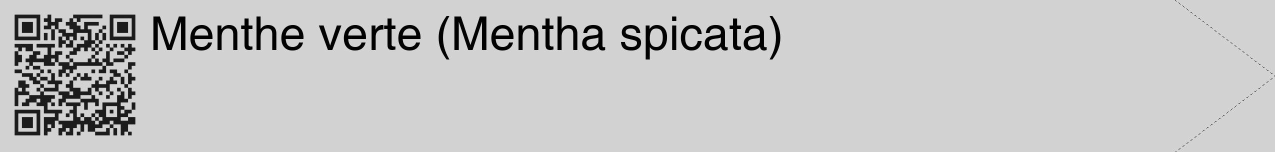 Étiquette de : Mentha spicata - format c - style noire14_simple_simplehel avec qrcode et comestibilité