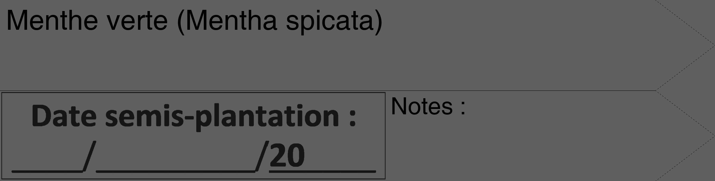 Étiquette de : Mentha spicata - format c - style noire10_simple_simplehel avec comestibilité