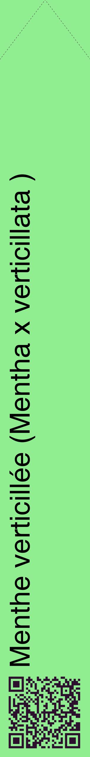 Étiquette de : Mentha x verticillata  - format c - style noire15_simplehel avec qrcode et comestibilité