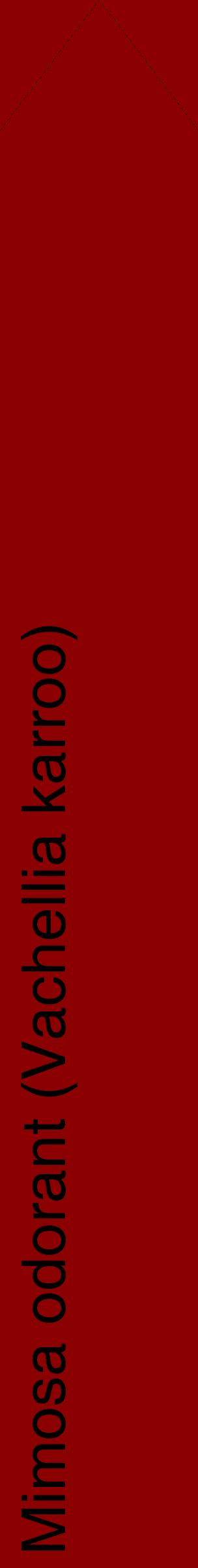 Étiquette de : Vachellia karroo - format c - style noire34_simplehel avec comestibilité