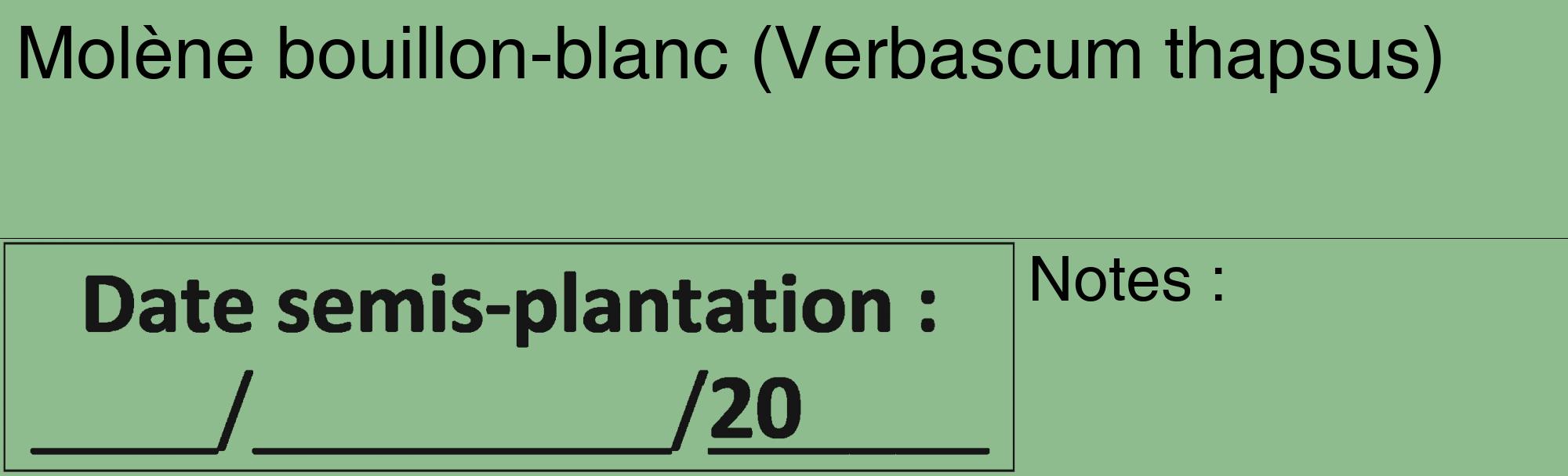 Étiquette de : Verbascum thapsus - format c - style noire13_basique_basiquehel avec comestibilité