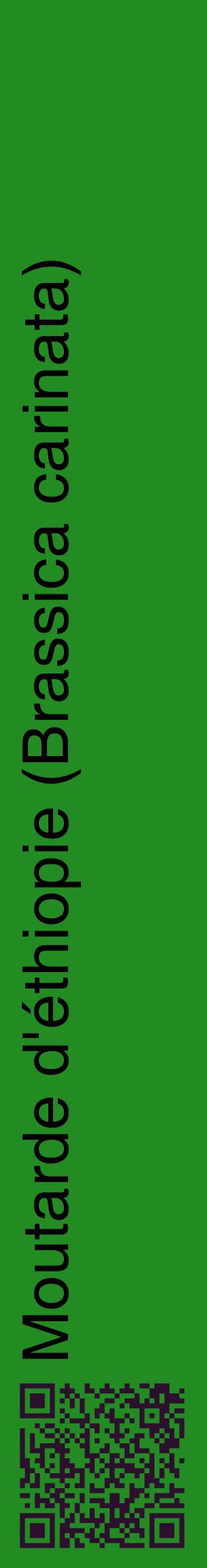 Étiquette de : Brassica carinata - format c - style noire10_basiquehel avec qrcode et comestibilité