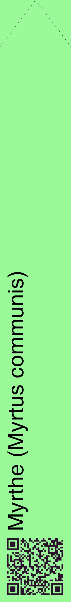 Étiquette de : Myrtus communis - format c - style noire14_simplehel avec qrcode et comestibilité