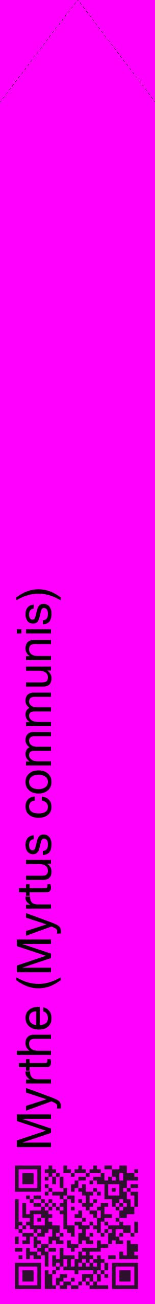 Étiquette de : Myrtus communis - format c - style noire51_simplehel avec qrcode et comestibilité