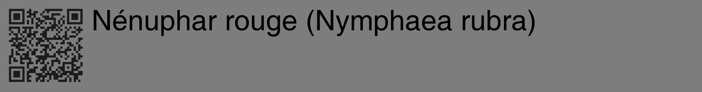 Étiquette de : Nymphaea rubra - format c - style noire35_basique_basiquehel avec qrcode et comestibilité