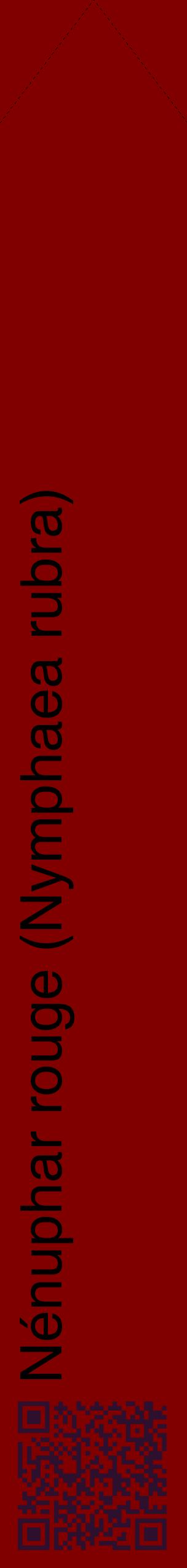 Étiquette de : Nymphaea rubra - format c - style noire29_simplehel avec qrcode et comestibilité