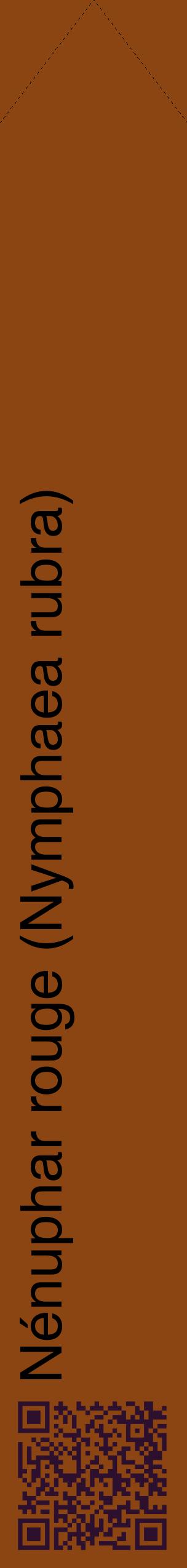 Étiquette de : Nymphaea rubra - format c - style noire30_simplehel avec qrcode et comestibilité