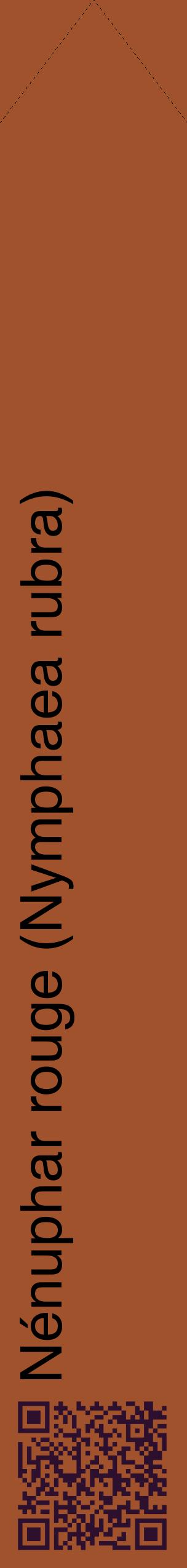 Étiquette de : Nymphaea rubra - format c - style noire32_simplehel avec qrcode et comestibilité