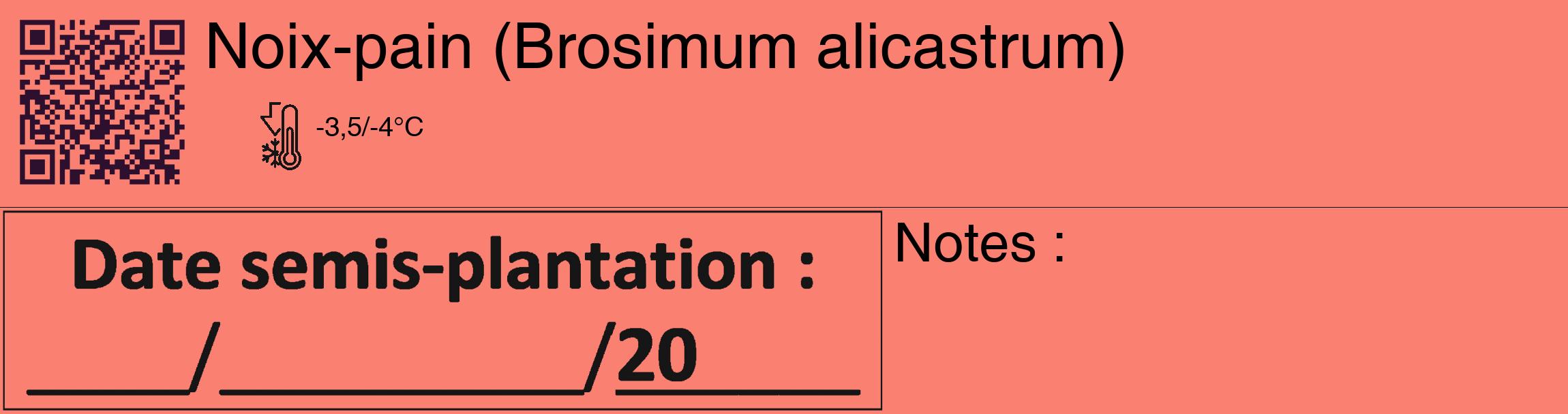 Étiquette de : Brosimum alicastrum - format c - style noire38_basique_basiquehel avec qrcode et comestibilité