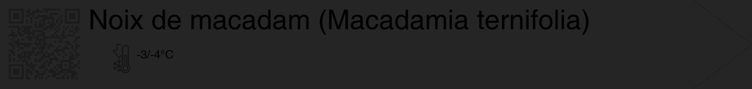Étiquette de : Macadamia ternifolia - format c - style noire47_simple_simplehel avec qrcode et comestibilité